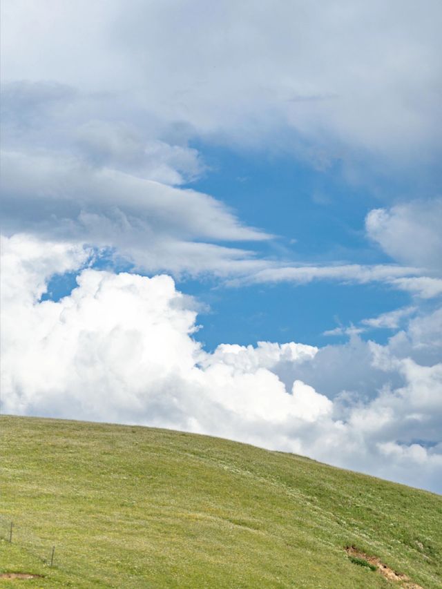 油畫般的「宗塔七色草原」是戶外人遛狗樂園 油畫般的「宗塔七色草原」是戶外人遛狗樂園