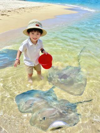 Give up Sanya! Take the kids to 24°C Lingshui in winter, fewer people and beautiful scenery! Detailed guide included