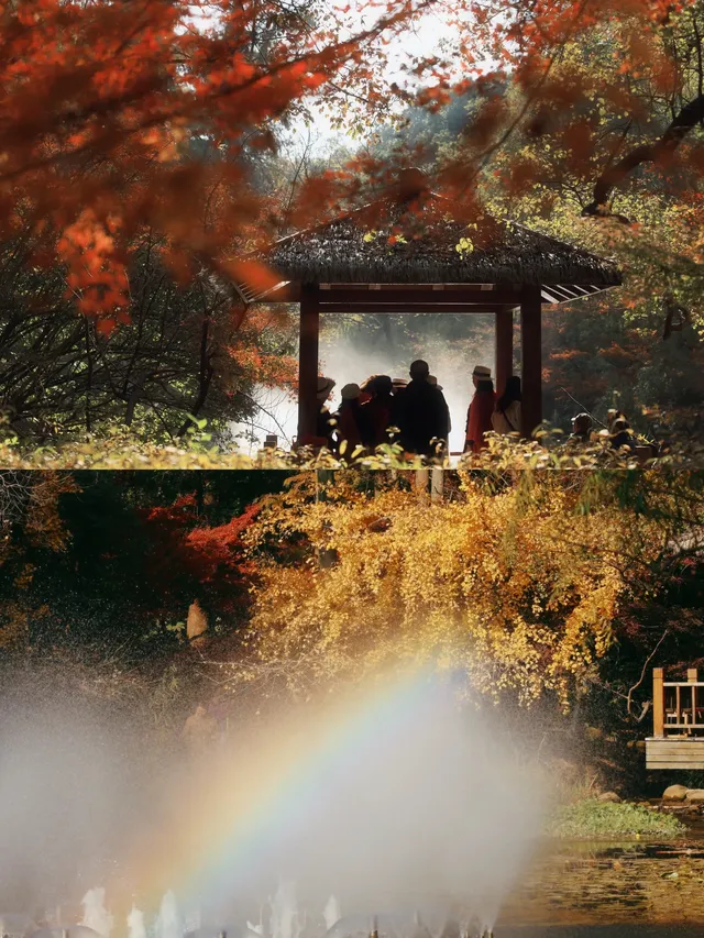 12.6共青森林公園橙黃橘綠時(附路線) 12.6共青森林公園橙黃橘綠時(附路線)