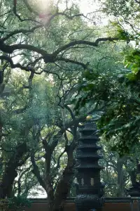 普陀山，來了就好越來越好越好越來