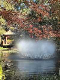 秋天的共青森林公園彷彿是一幅油畫