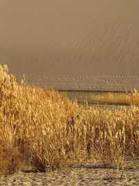 敦煌月牙泉|鳴沙山環抱的沙漠新月