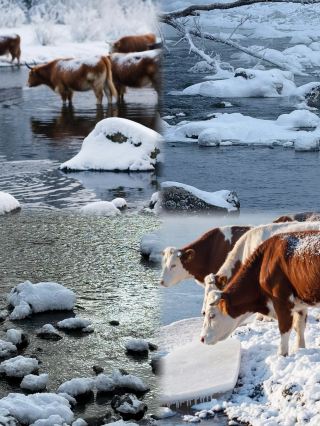 女性が1月に一人でリフレッシュに行くのにぴったりな4つの街！人が少なく癒されてゆったり過ごせる超快適スポット