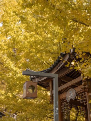 Stay in a Century-Old Courtyard, Secretly Cherishing the Gentle Time in Heshun