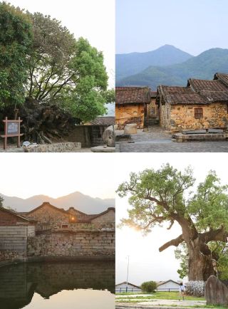 Near Platinum Century – Changtai's version of "Where the Wind Blows".