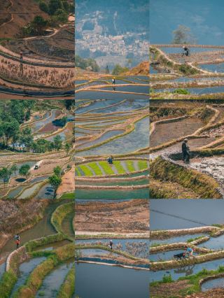 Self-driving in Yunnan｜More beautiful than the terraces are the busy people from dawn to dusk