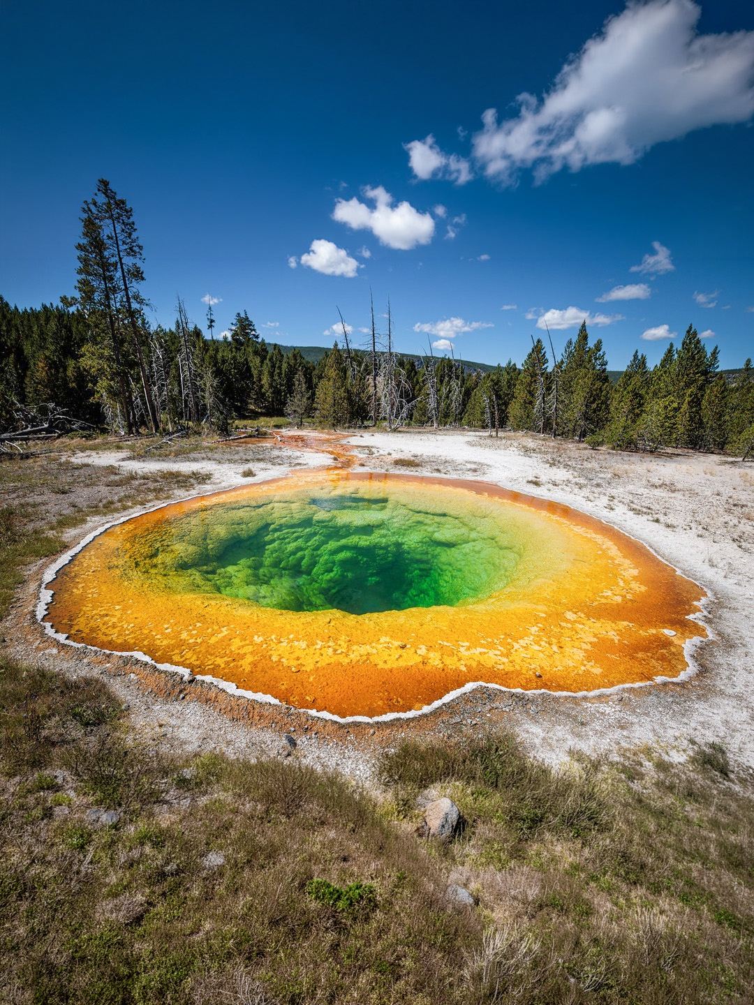 5-Day Relaxed Mercedes Tour of Yellowstone! Round Trip from Salt Lake City with Airport Transfers