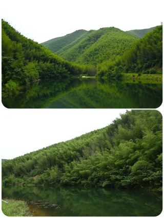 산야를 걷고, 대나무 숲과 대화하기