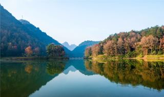南国の紅葉の最高峰！徳保紅葉森林公園の必訪スポット、見逃すと一年待ち！