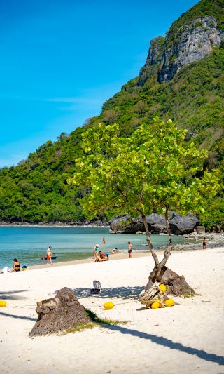 My favorite Southeast Asian island to date has appeared.