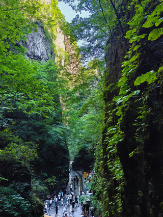 A complete guide to a one-day tour of Bailixia in Yesanpo, the top choice for summer escapes + check in at the world’s first gorge