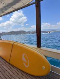 Amazing Experience with Elbark Cruise