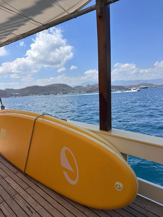 Amazing Experience with Elbark Cruise