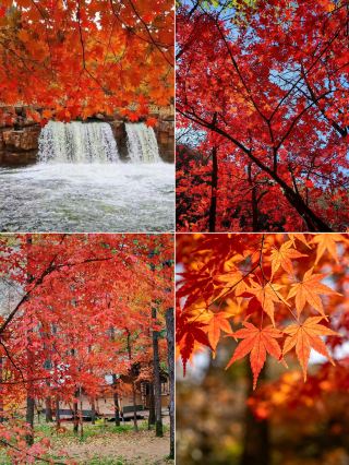 번시｜9-10월 여행 추천지, 가을 단풍으로 물든 산성