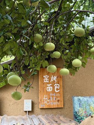 숲속 전원에 숨겨진 ‘삼유요카(三柚窑咖)’, 번잡한 일상을 벗어나 즐기는 꿀맛 같은 휴식