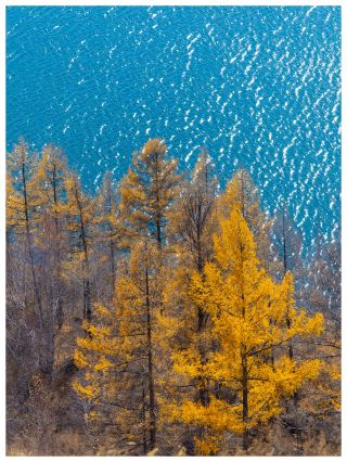They say once you've seen autumn in Arxan, everywhere else feels like it's missing something.