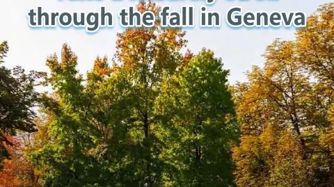 Spend a day at Parc des Bastions like a local — traveler post in Geneva