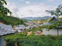 พักผ่อนสบายๆในไร่ชา ณ บ้านรักไทย