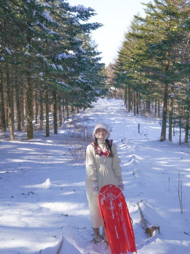 눈덮힌 겨울엔 가줘야지 대관령❄️