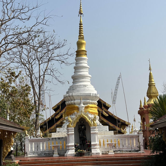 พระใหญ่ไดบุตซึแห่งเมืองลำปาง Unseen Thailand