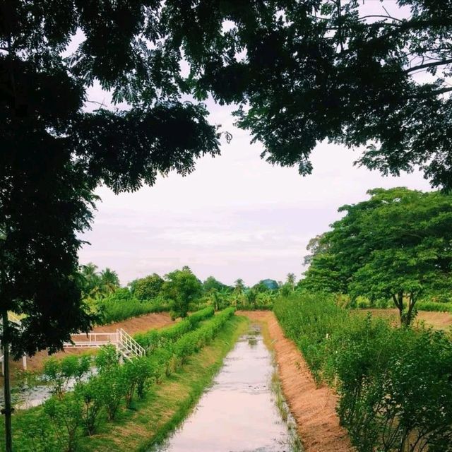 บ้านไร่สุดท้าย อุทัยธานี