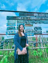 Starwberry Farm