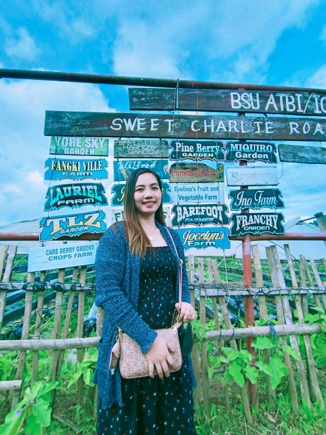 Starwberry Farm