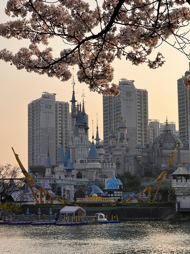 韓国/ソウル【蚕室】桜が咲くお花見シーズンのおすすめスポット🌸