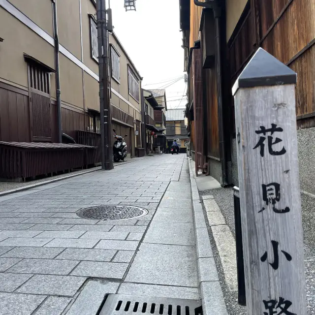 京都花見小路　桜を見ながら京都観光