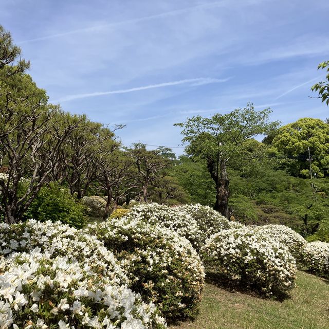 四季様々な顔を見せる　宇都宮　八幡山公園