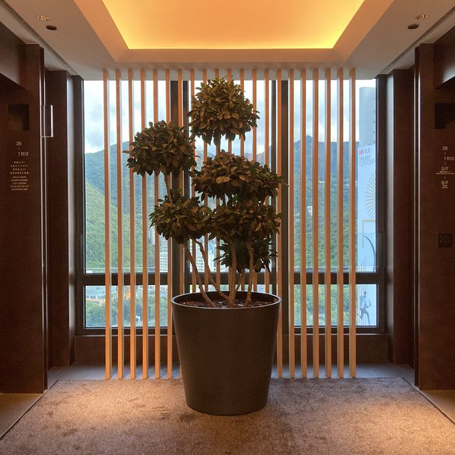 石門帝逸酒店🏨泳池💯環境💯寵物💯