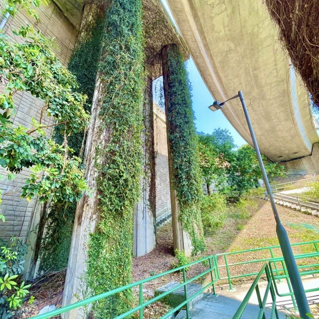 香港拍照打卡地點 汀九灣泳灘