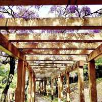 羽根谷だんだん公園
