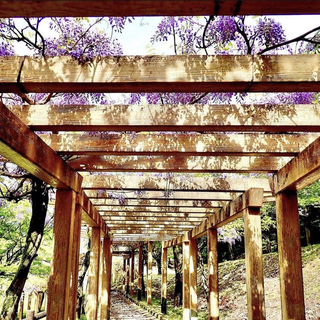 羽根谷だんだん公園