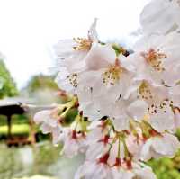 平和公園