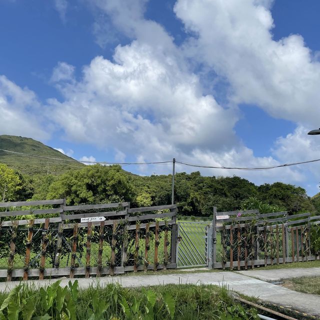 白腊村沙灘