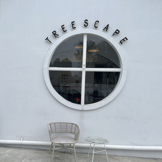 Treescape Pattaya 🏝️🍰✨