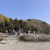 東京近郊賞櫻地推介 - 長瀞川