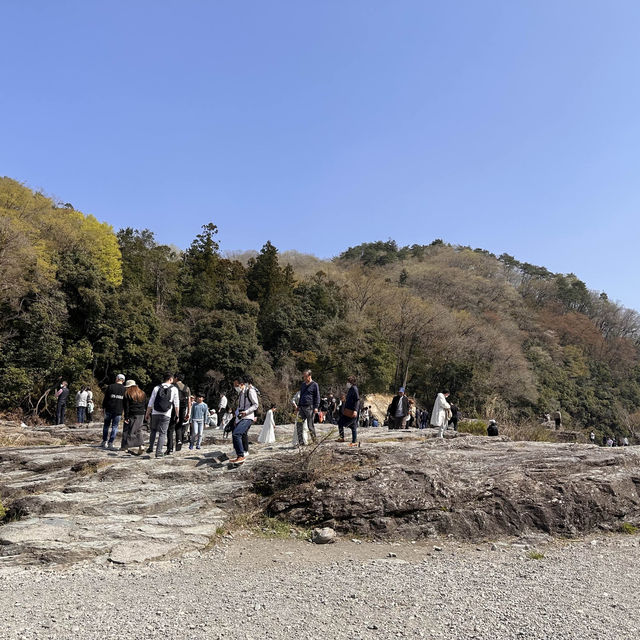 東京近郊賞櫻地推介 - 長瀞川