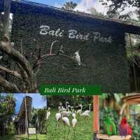 Bali Bird Park