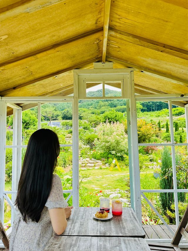 지금가면 너무 예쁜 한국의 지베르니🌱💚