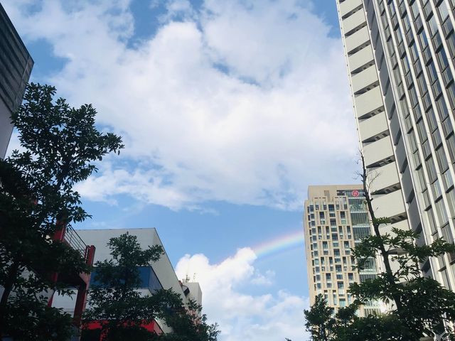 台北｜🌈🌤️美麗雙彩虹🌈📍 101大樓2樓連通天橋