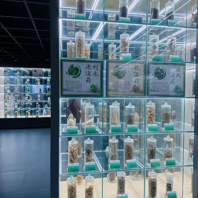 🌿中醫奇幻世界🏛️廣東中醫藥博物館🌿