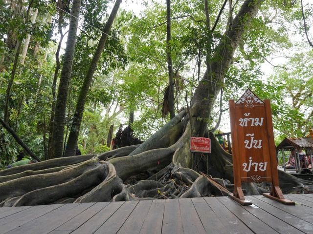 คำชะโนด ดินแดนแห่งศรัทธา|อุดรธานี