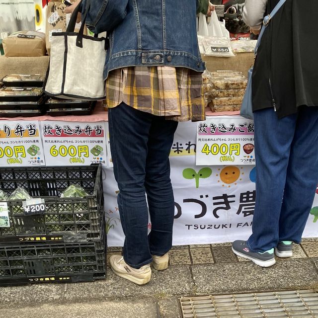 【知多半島旅】常滑焼きの器をお土産に探す　セラモール