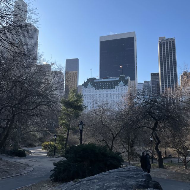 ❤️Magical Christmas in New York