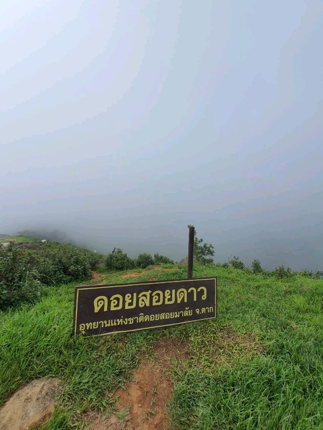 ดอยสอยมาลัย⛰️