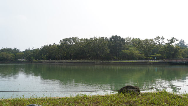 🏞️ 高雄澄清湖一日遊 🗺️