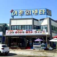 강원도 속초 회+대게 맛집