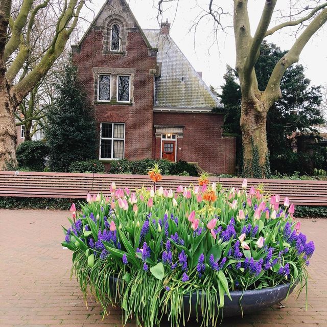 🇳🇱荷蘭海牙🏰☮️❤️‍🔥 Peace Palace（和平宮）♾️ 🔥World Peace Flame（世界和平火焰）